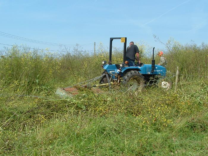 2 Clearing the Field (8)